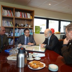 carrièressouspoissy30_11_2013 019 (Copier)