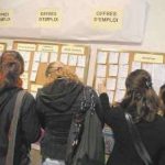 EmploiDesJeunes1