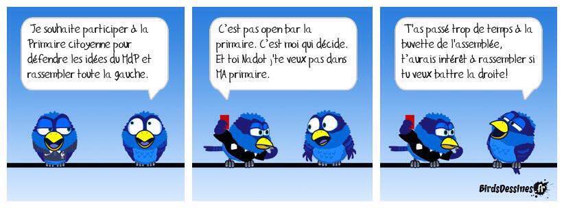 bird9-12
