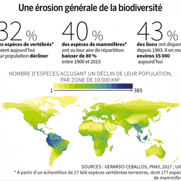 6eExtinction