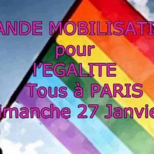 manif27012013mariagepourtous